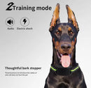 Dog Collar Anti Bark Pet Electric Training Collar Auto Stop Barking Obedience