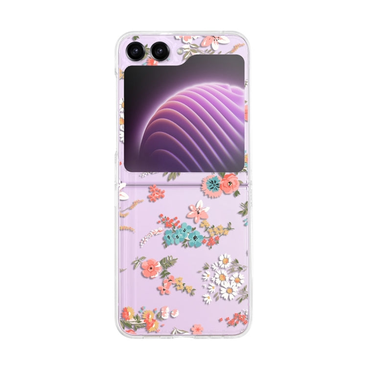 Samsung Galaxy Z Flip 6 Painted Pattern PC Transparent Folding Phone Case Cover