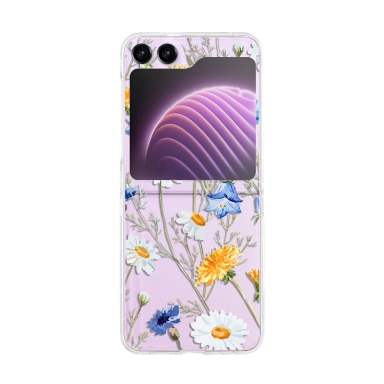 Samsung Galaxy Z Flip 6 Painted Pattern PC Transparent Folding Phone Case Cover